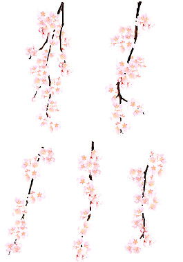 粉色花枝樱花装饰元素