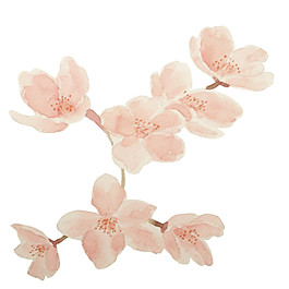 清新风格暗粉色花瓣樱花装饰元素