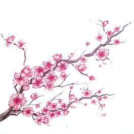 清新少女心紫粉色花瓣樱花装饰元素