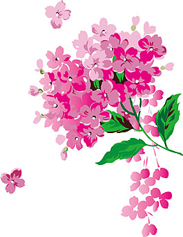 温婉粉紫色花朵樱花装饰元素