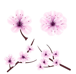 清新风格紫色花蕊樱花装饰元素