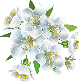 清新風(fēng)格深藍(lán)色花瓣櫻花裝飾元素