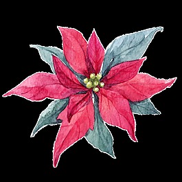 玫紅花蕊png透明素材
