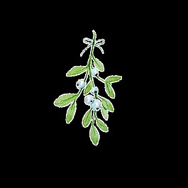 碧綠藍(lán)莓花枝png透明素材