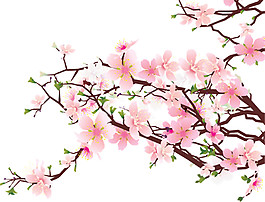 粉色桃花彩繪PNG