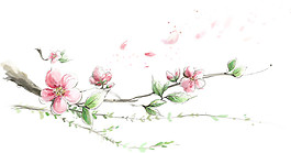 水彩花枝圖案元素