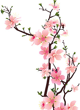 水彩花枝圖案元素