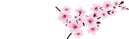 桃花裝飾元素(10)