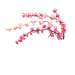 粉色花卉圖案PNG