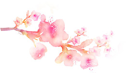 水彩桃花圖案元素