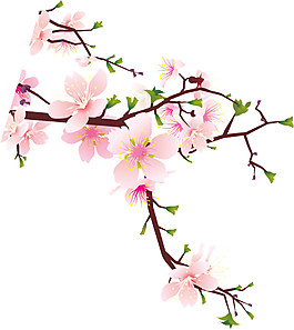 水彩桃花枝圖案元素