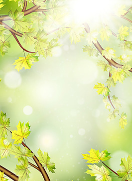 夢幻春季光暈與花瓣矢量素材
