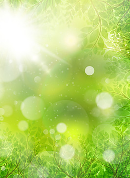 夢幻春季光暈與花瓣矢量素材