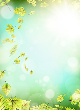 夢幻春季光暈與花瓣矢量素材
