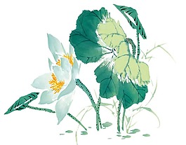 手繪綠色荷花png元素