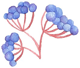 藍(lán)色水果png元素