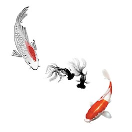 彩色魚元素