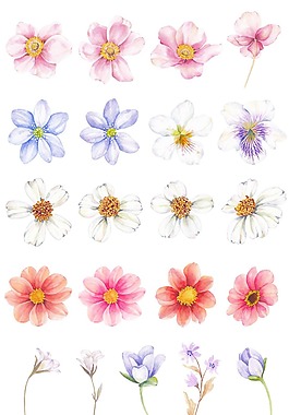 創(chuàng)意花朵和綠葉png元素