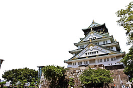 簡約清新綠色植物日本旅游裝飾元素
