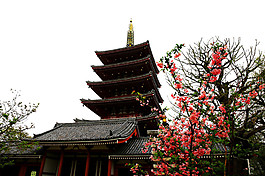 簡(jiǎn)約紅色櫻花樹(shù)日本旅游裝飾元素