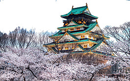 清新紫粉色樱花日本旅游装饰元素