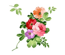 艷麗盛開鮮花png元素