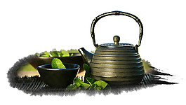 清新土褐色茶具产品实物