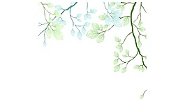 卡通嫩綠色樹枝png元素