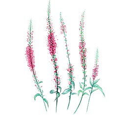 創(chuàng)意紅色碎花png元素