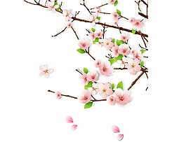 三月桃花樹枝png元素