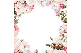 粉色花朵裝飾png元素