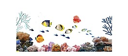 創(chuàng)意海洋魚類png元素
