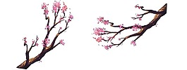 桃樹樹枝花朵png元素