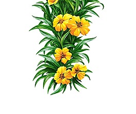 黃色小花和綠葉png元素