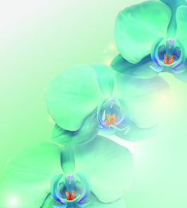 矢量清新文藝花朵背景
