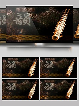 文藝有內(nèi)涵的樂器高清視頻素材