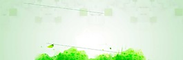 清新綠色樹葉背景