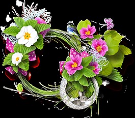 白色小花和藍(lán)色小鳥png透明素材
