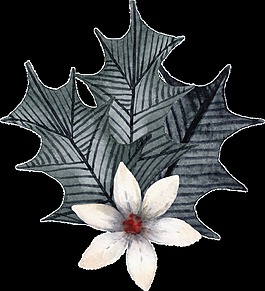 木蘭花和灰色葉子png透明素材