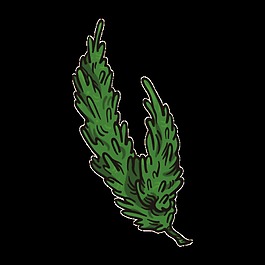 茂密綠葉png透明素材