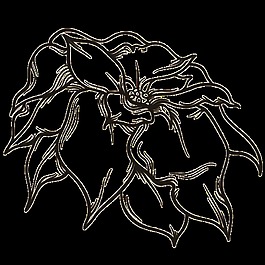 長(zhǎng)白花蕊png透明素材