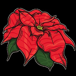 嫩紅花瓣png透明素材