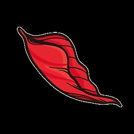 火紅花葉png透明素材