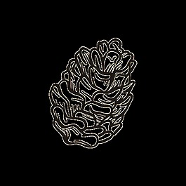 素描松果png透明素材