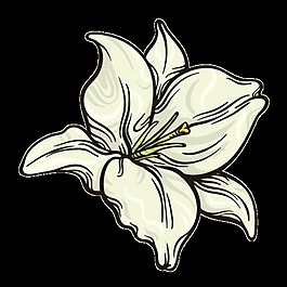 雪白花蕊png透明素材