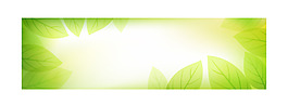 矢量樹葉banner