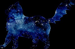 星空藍(lán)小貓png透明素材