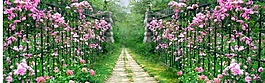 唯美粉色花園背景