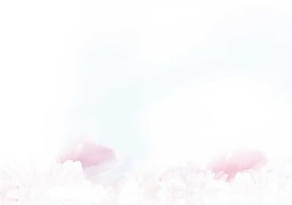 浪漫粉色花瓣元素