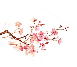 浪漫粉色花朵元素